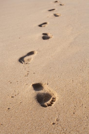Coaching en présentiel et à distance